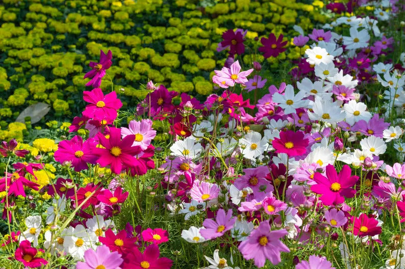 fbf31670-e22d-467c-a5e0-47b0a8e500e9