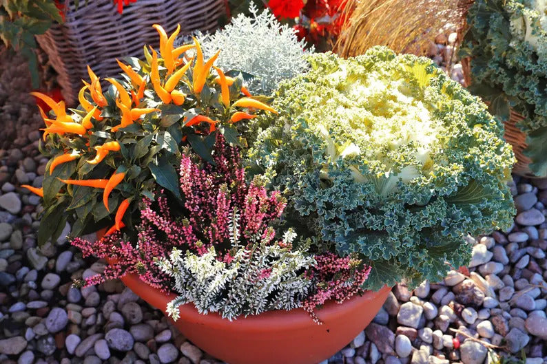 e6a80ecc-dc6e-4b99-9a3d-ce93287b1f06