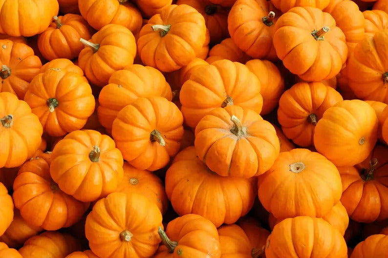 8a2ac341-d6cc-4097-9ca2-7971f44e4c11