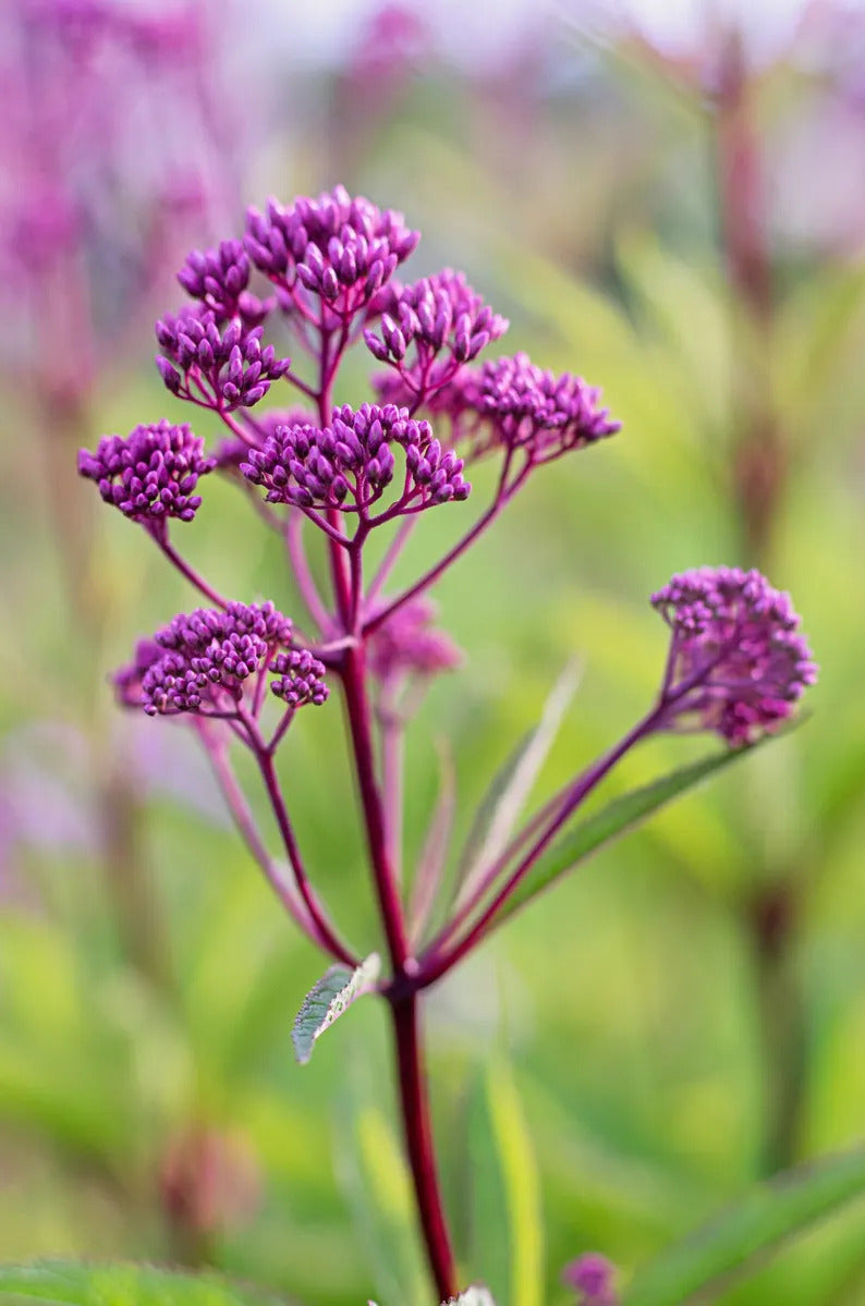 2f0d761c-659b-4c7e-a650-96917f520a96