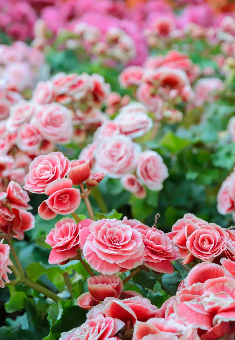 f4fd16cf-8784-49ab-8cef-0465456168d8