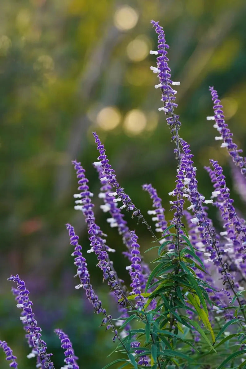 9fa4034d-01aa-4e7d-ae75-ccdfafb1b398