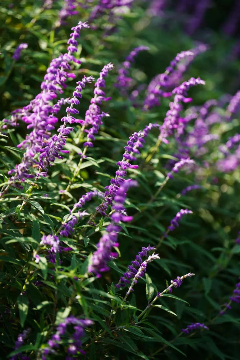 8efbd6b8-6a14-4e8c-b193-8a40bbe3d6a5