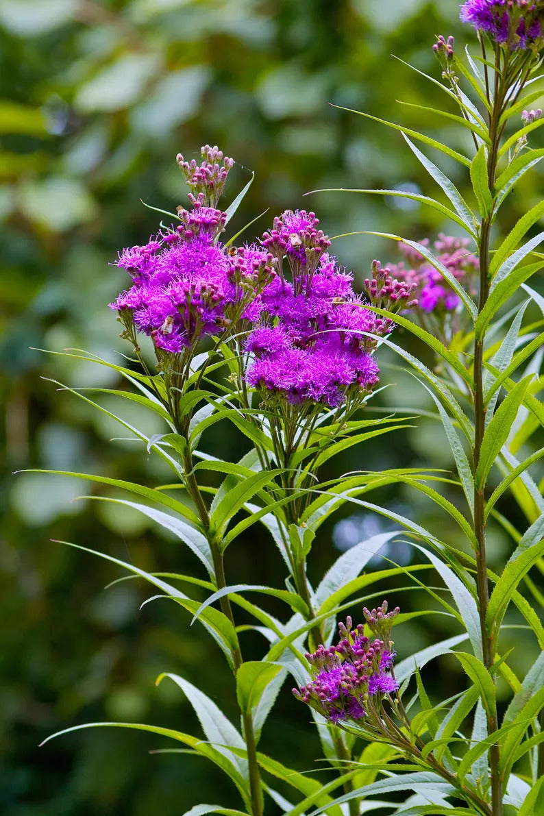 d6b91209-a3fd-47c3-bded-ad26e5a8a5f2