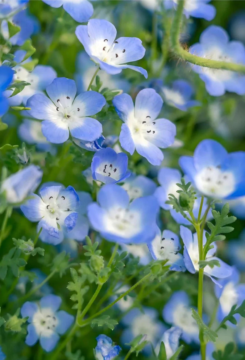 6d21cd84-c9dc-4fa1-8bb7-8673c7136b34