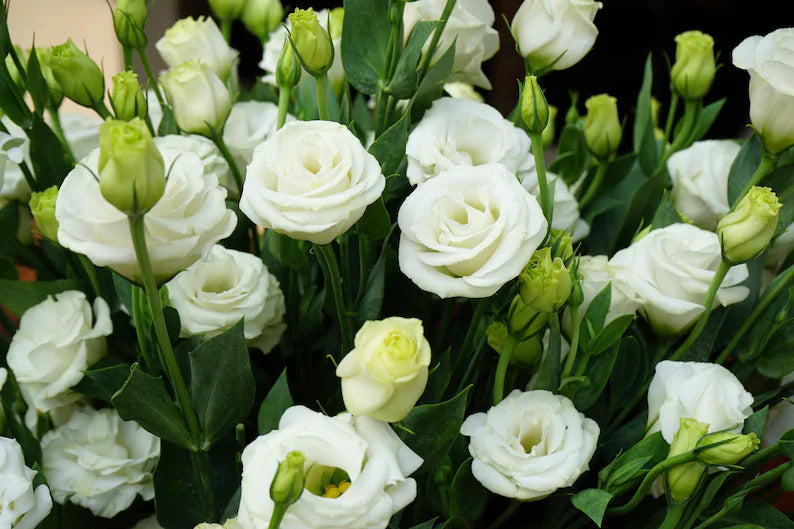 7126bf0a-e57f-408a-95d4-3e0e06285b73