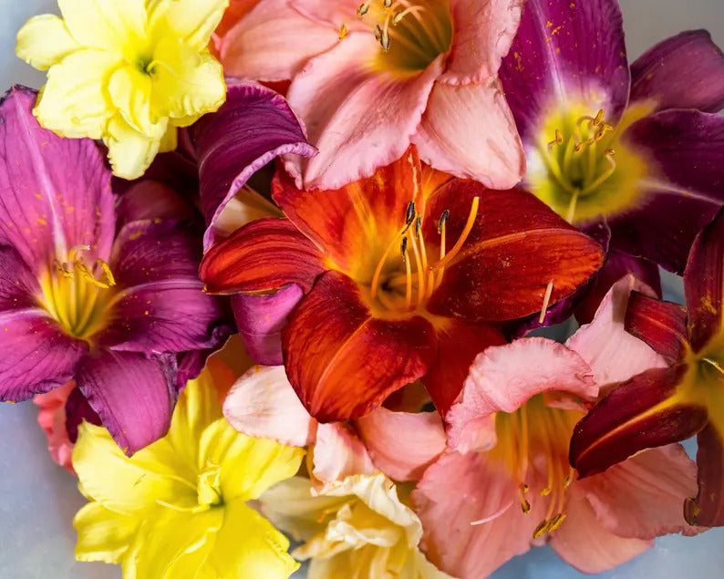 f5326bea-9492-40a9-aa7d-f55a0f378419