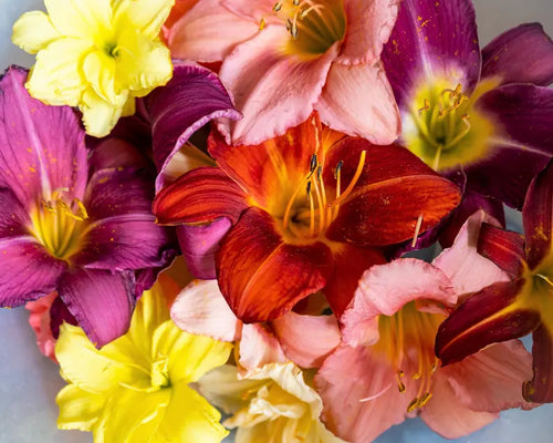 f5326bea-9492-40a9-aa7d-f55a0f378419