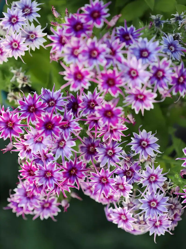 50524aeb-1373-4827-81ce-576ed001b6ac