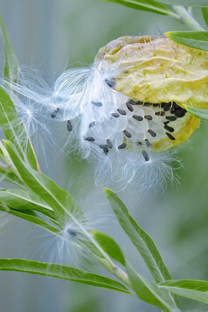 9c4656aa-6130-4469-9ddb-0ff25467d4a8