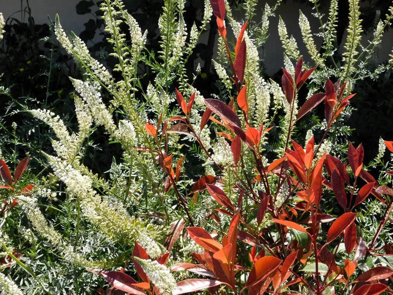 a18218ec-ea04-469a-bc96-f605e70df861