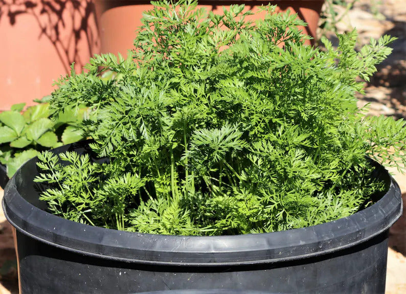 eac3fb3c-1c4d-4a67-ba47-cc7b6ad58727