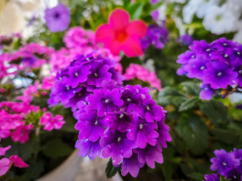 28f93f54-3b6b-4d97-8dd3-2567a6ee6f38