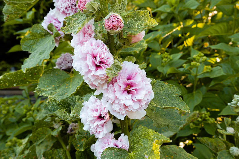 46f3e048-c13d-46e6-86b5-f26fa6ed4245