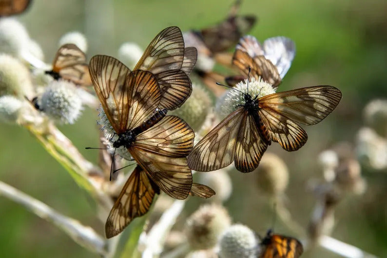 ab054023-d871-4a5b-ae05-5397c07d1945