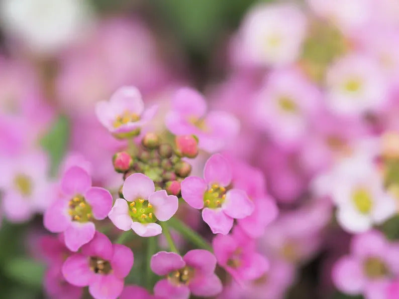 7f1a2a66-2619-45ea-9bb9-d5c1ffb44e06