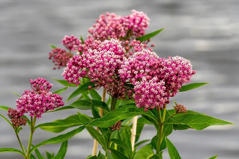 f4dd4f1e-4231-4bf6-ba5d-9278c3ee8653