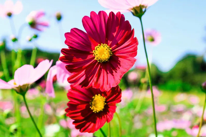 460879ad-7429-4eea-a755-789ad13ab3cb