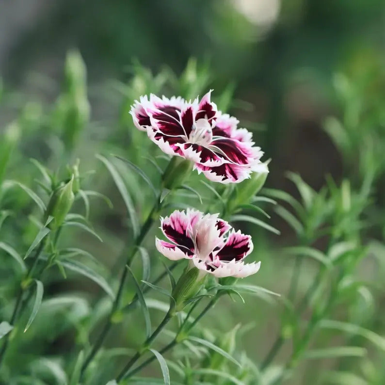 05106c78-524c-448b-9790-5b437abc00d9