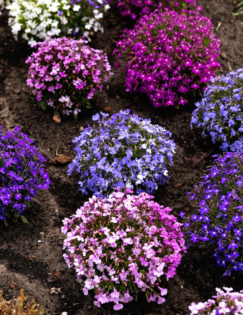 3255bebe-e6be-4ab1-84a5-3de3d710ae22