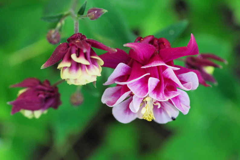 3ade7dee-3b3a-4b0d-9193-aed609649cec