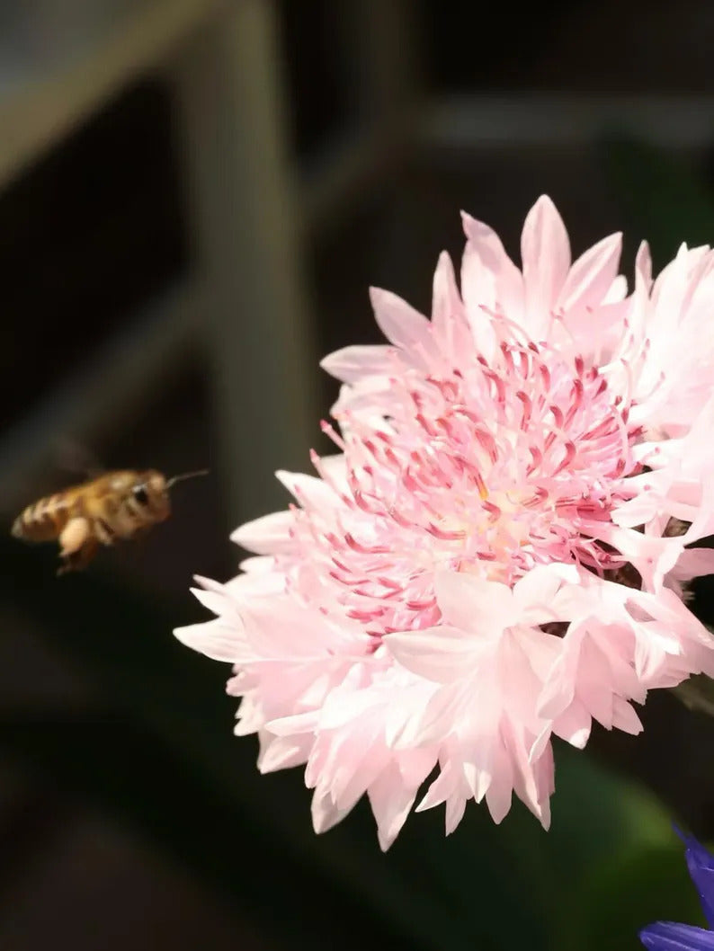 48da88a0-f2b2-45a5-a323-2ee5dd1077a6