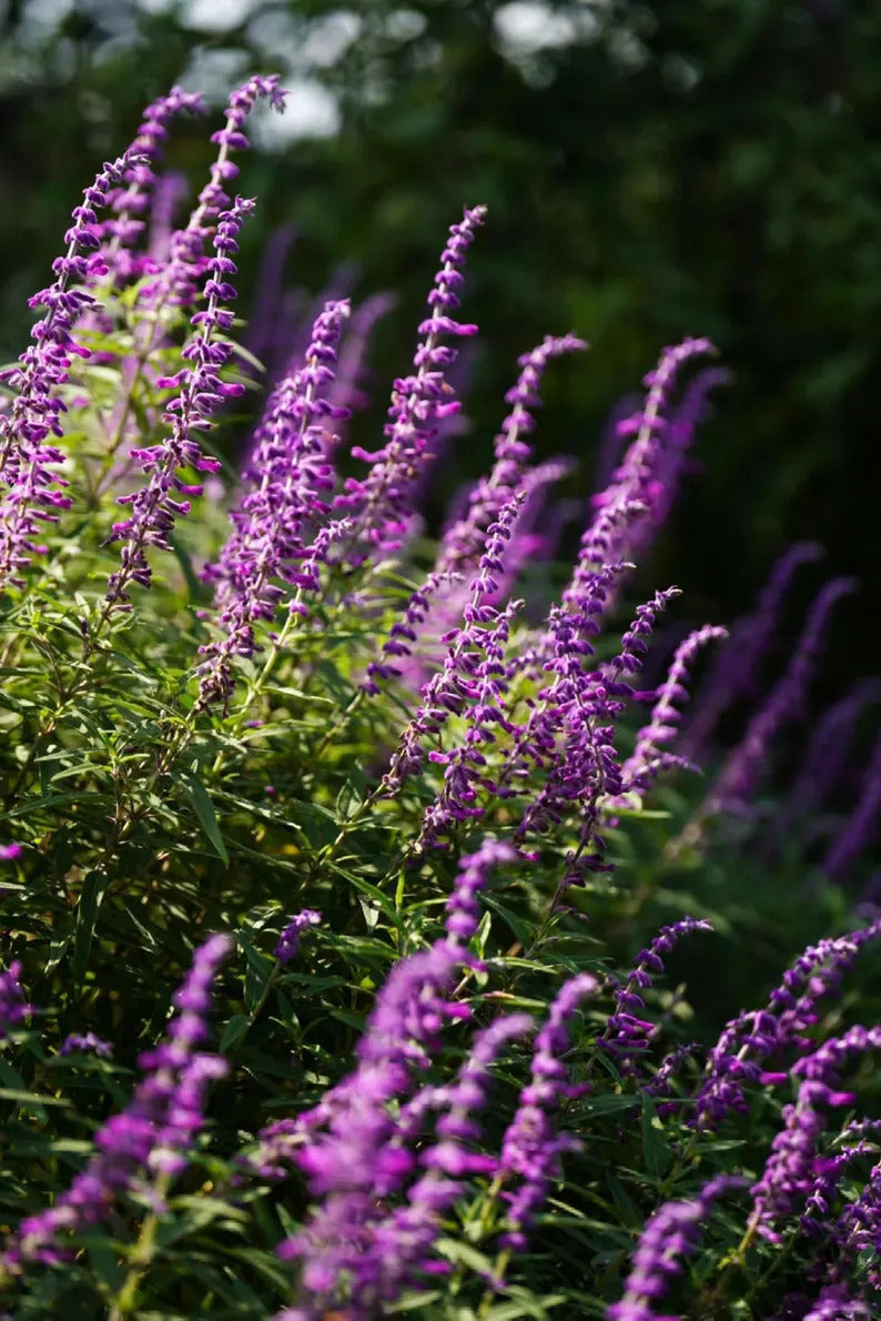 a0af7803-b6ec-4af6-a41f-c06144472cf3