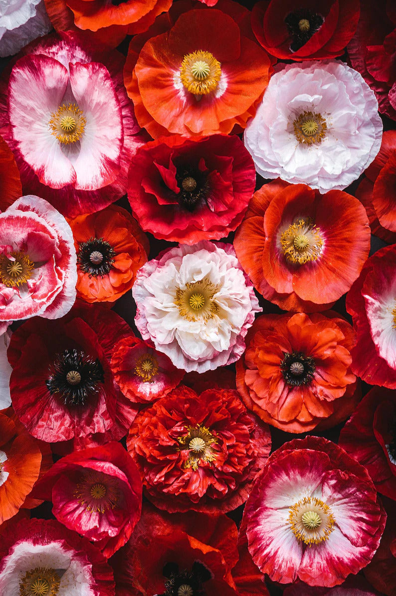 c8cdbc9e-f606-40f1-856f-75fe2fac8979