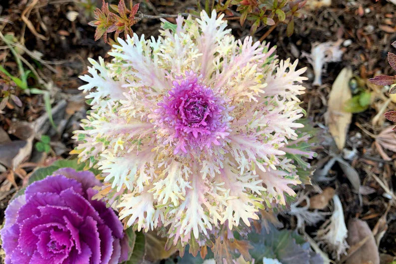 5c21be37-e5e7-4163-a86c-5dd5d9173457