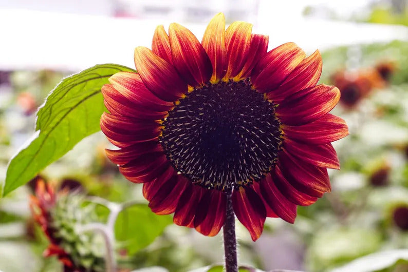 c7ddbd80-d9a5-44d1-a1dd-907df80f1fb1