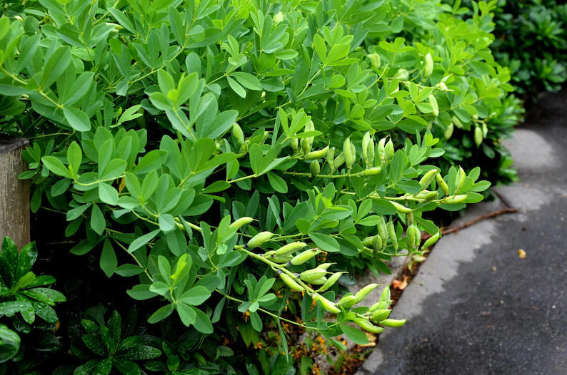 8c9bc42c-d204-4316-a31e-1a4689b001f5