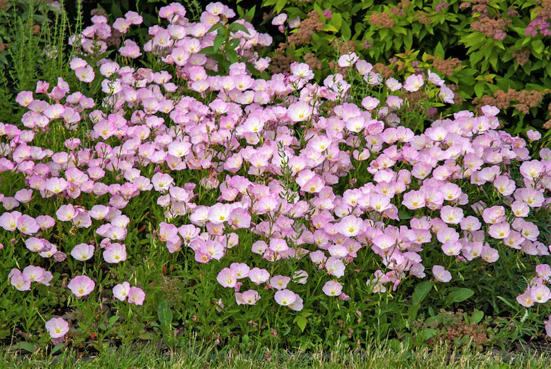 6bacfa0d-25f1-48dc-8033-f26161c711db