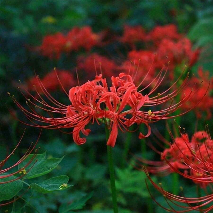 def05f55-54ad-4a0c-8c4e-b6ea33d6f9d2