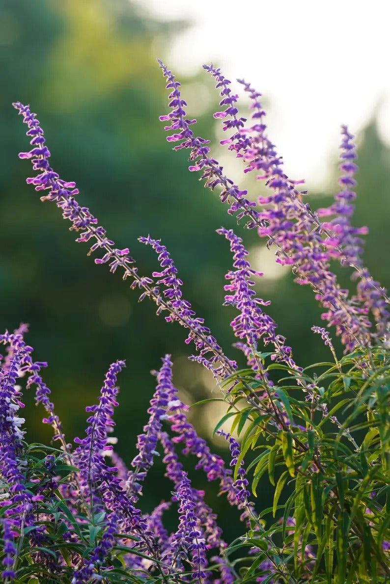 ae7a75ee-5fd7-4903-b11b-4503b9cdefbd