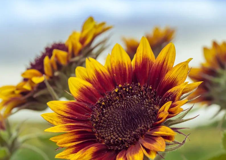 005db522-692a-46b7-87b6-8a9c0a443245