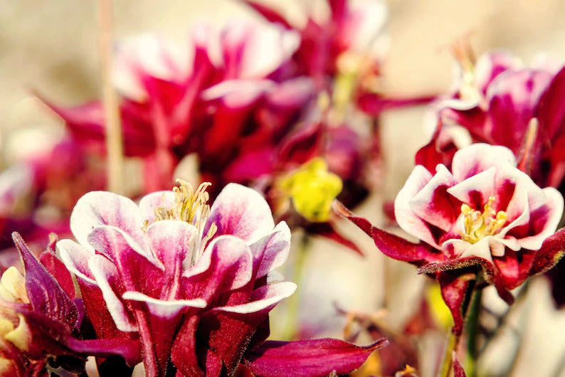 8db07da0-9cb6-4cb9-9f47-d4a666605ec2