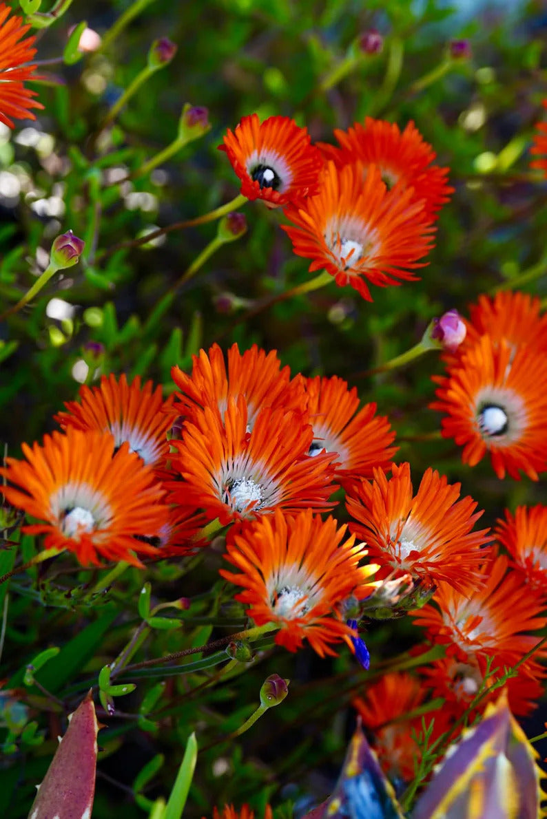 62f46a19-29ae-41ac-bc88-9c2c44a3f264