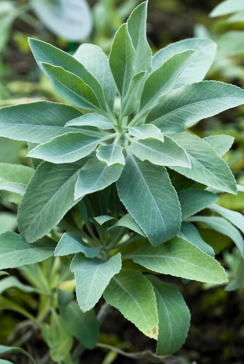 0512cbba-1bc1-4086-93b3-6c9aa5ced2e5