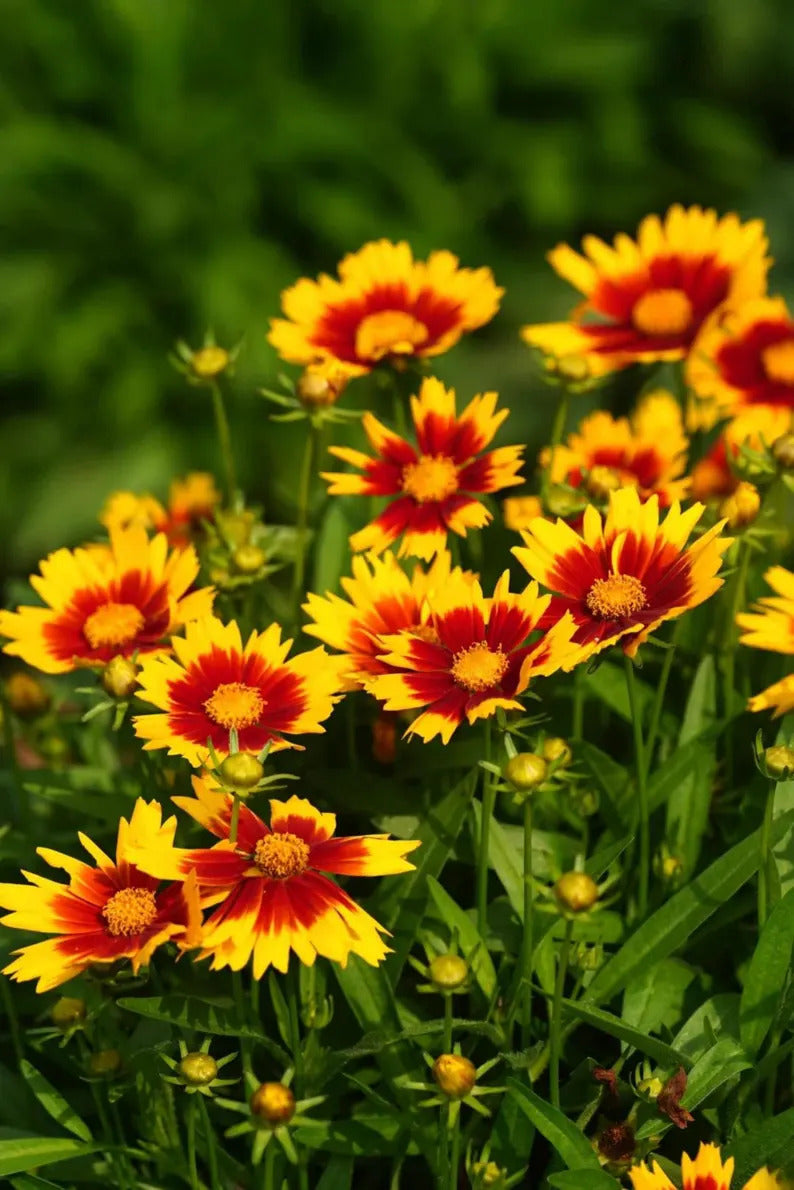 0ea6e6a4-6482-42d7-81d3-dd43a881e64e