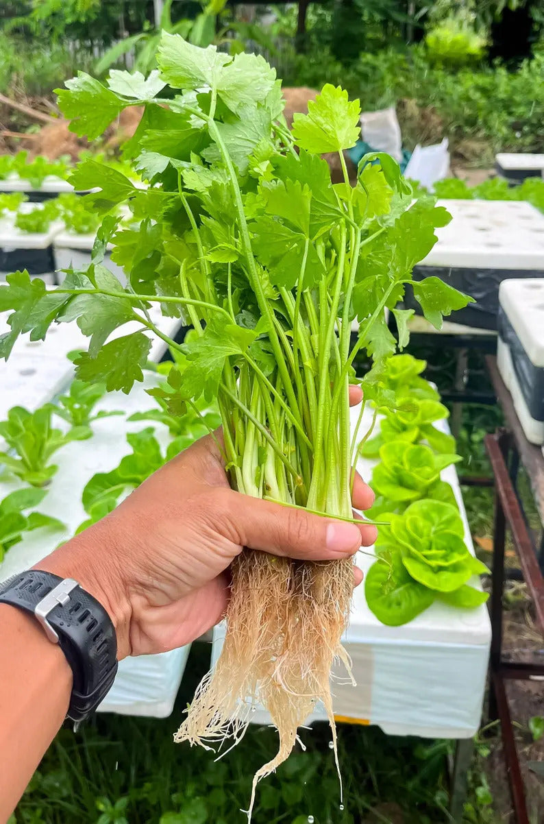 b6ed661a-9a06-42ca-9fde-4036b0ba4eaa