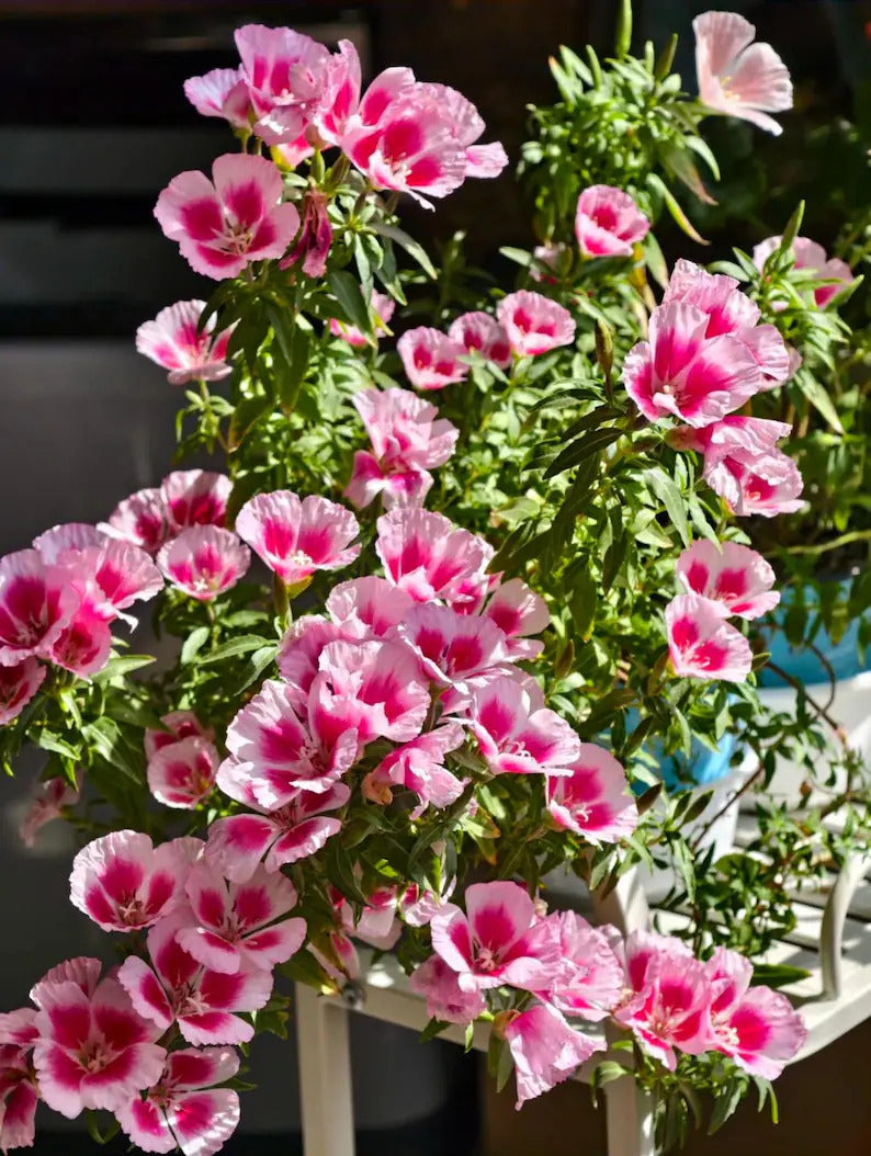 71fd591e-039a-4488-a64c-8d781433800c