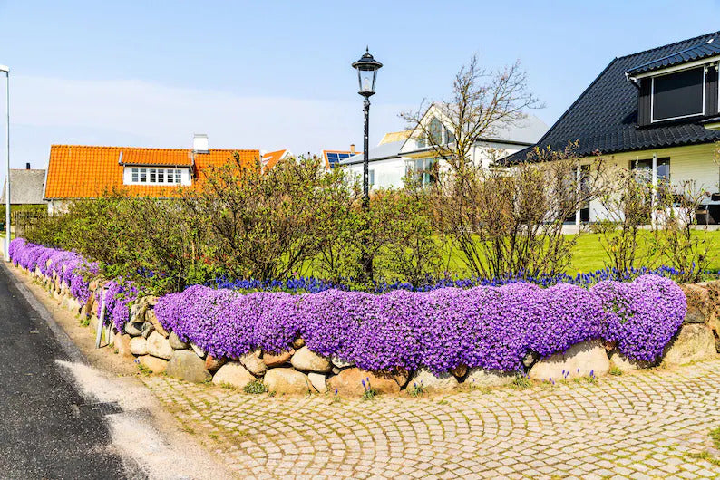 6393a4c9-3ea7-453d-8c3a-5821f0e7a8f6