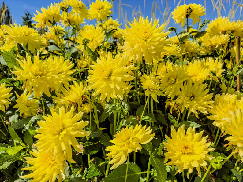 3d01a137-6e8c-4607-a01b-984697be4d1f