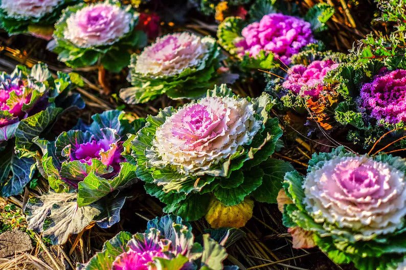 c12cde47-6449-4002-8018-4feceba51305