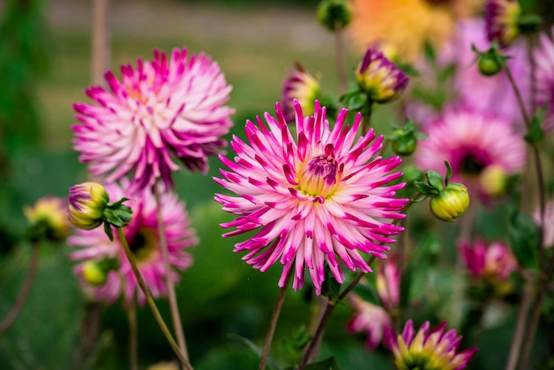 bc6448e5-bf0e-415b-b409-6b7146159b9e