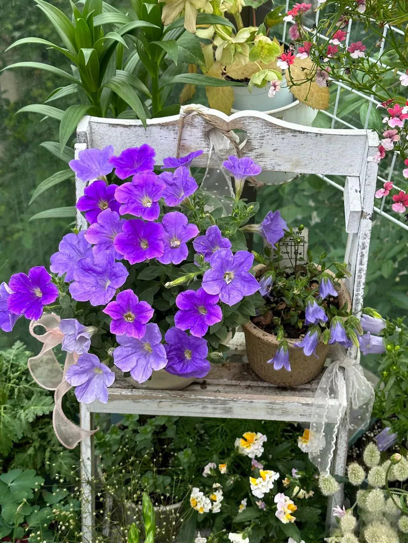 df45fbfe-7cd9-4c24-a16f-69b3a3875b52