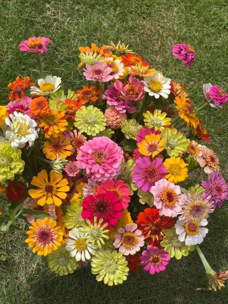 4a7b4199-ba7c-48b0-ba94-9aa81d0f5263