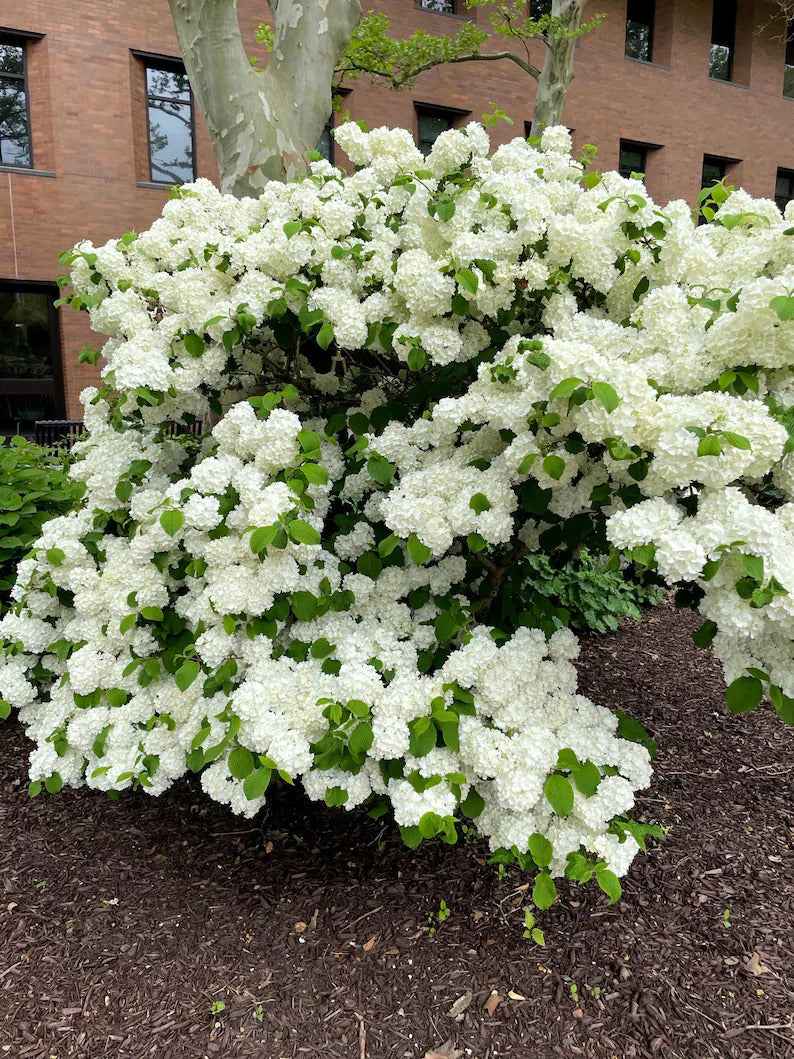 a3c60493-4953-414f-9fbb-3a6e364550b9