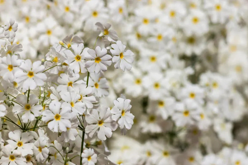 c3c4656f-1fde-4ad1-ba14-c6b92dc1e473