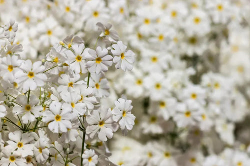 c3c4656f-1fde-4ad1-ba14-c6b92dc1e473